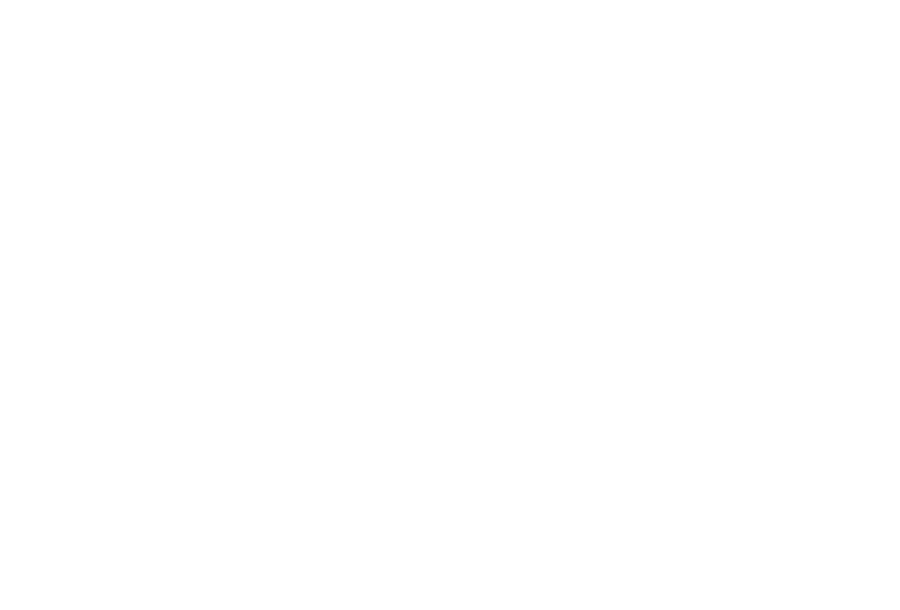 logo light